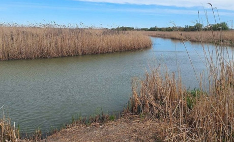 В Ізмаїльському районі відновлюють екосистеми та наповнюють водосховища