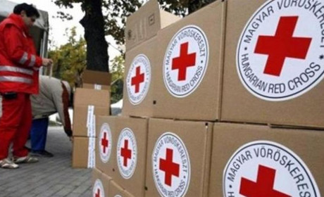 У новоград-волинському "Червоному Хресті" нова керівниця