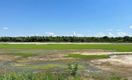 Великий Луг до затоплення: шість Січей і ставка хана