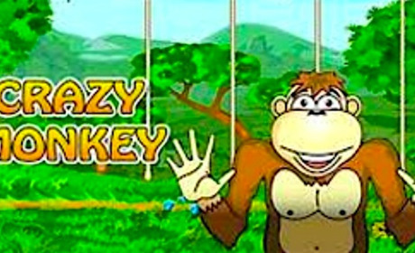 Игровой Автомат Crazy Monkey. Почему любителей Обезьянок не становится меньше