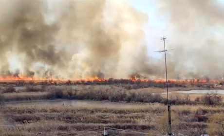 Щорічна біда: під Маяками горить територія національного парку. Відео