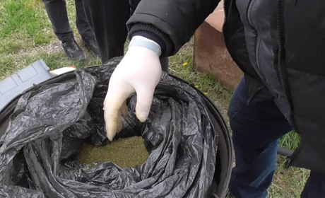 У 51-річного мешканця Сватівщини знайшли півтора кілограми марихуани. Йому загрожує ув’язнення