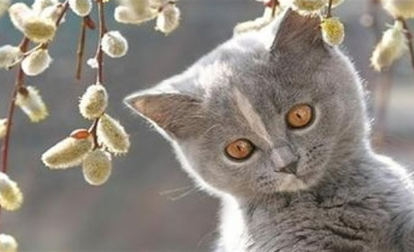 На вихідних буде тепліше, опади припиняться: прогноз погоди