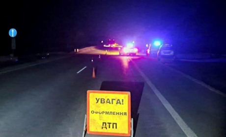 ДТП за участі "Mitsubishi" та гужової повозки: на Звягельщині поліцейські шукають очевидців