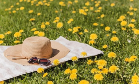 Якою буде погода на Сумщині та в Україні на початку наступного тижня: прогноз синоптиків