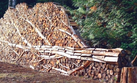 Де законно купити дрова: список лісництв Буковини і номери телефонів