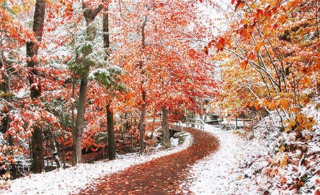 На порозі - грудень. Якою буде погода у перші дні зими