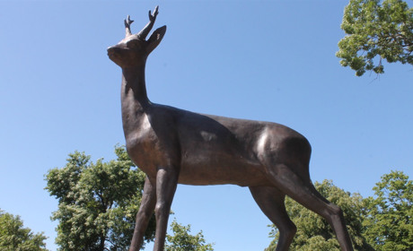 Символіка міста: що ти знаєш про герб, прапор та гімн Сарн