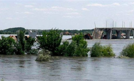 Птахи над греблею: у Львові поставили п'єсу за історіями жителів Нової Каховки