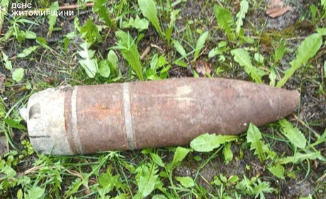 На присадибній ділянці у Звягелі місцеві жителі натрапили на боєприпас