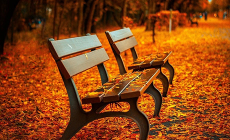 Тепло і без дощів: на початку наступного тижня синоптики Сумщини опадів не прогнозують