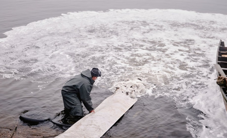 Дністровський лиман вперше зарибнили за державні кошти від аукціонів: у воду випустили майже 29 тонн