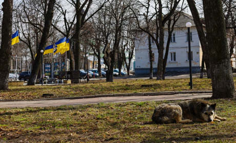 Місто, яким воно є. Глухів наприкінці березня