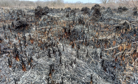 Білопільські рятувальники чотири рази виїжджали на пожежі, що сталися через загоряння сухої трави