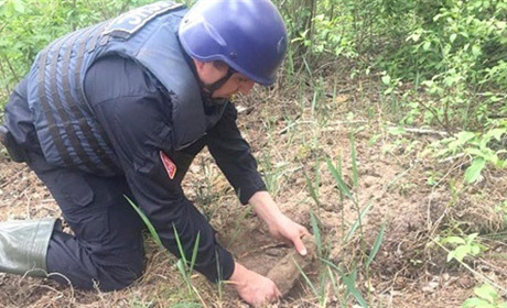 Небезпечна знахідка: 57 боєприпасів виявили біля села Уляники Ржищівської ОТГ