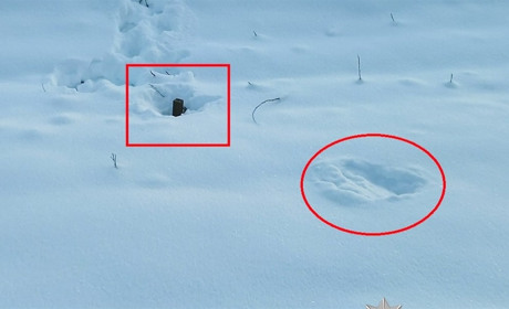 На Рівненщині знешкодили боєприпаси поблизу залізниці