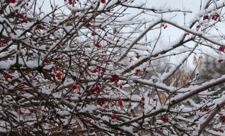 Якою буде погода у Сватовому і районі з 18 по 24 лютого