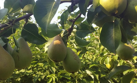 Суботня гра «Пазли від Мелітополь.Сіty»