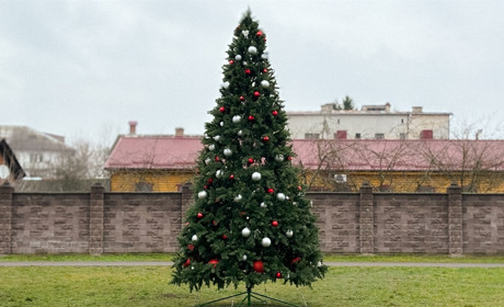 Свято наближається: коли і де відкриють ялинку у Сарнах