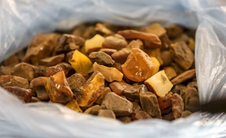 У жителя Сарненського району конфіскували понад 400 кг бурштину