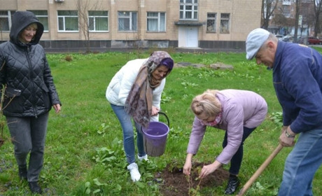 Де у Шосткинській громаді саджали нові дерева?
