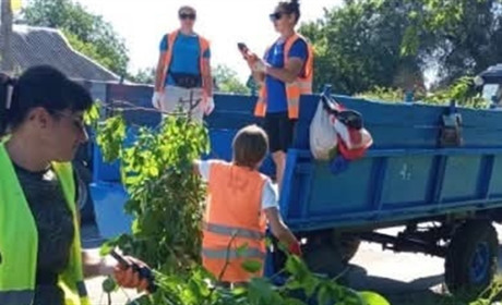 Дерева, гілки і сміття — комунальники Берестина завершили розчищення міста після негоди