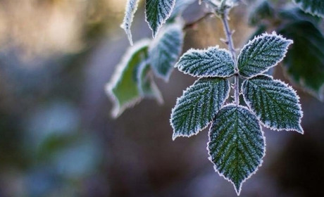 На Білопільщині вихідні будуть теплими і туманними, а з початку наступного тижня очікуємо морозів