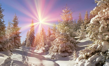 В ніч на вівторок на Сумщині знову прогнозують мінус 25: погода від синоптиків