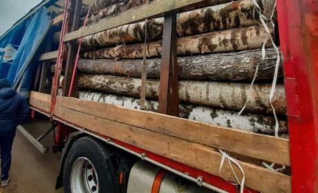 На блокпосту поблизу Сарн зупинили фуру з незаконною деревиною