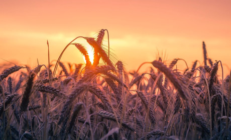 Якою буде погода у Сватовому і районі з 17 по 23 серпня 2020: прогноз на тиждень