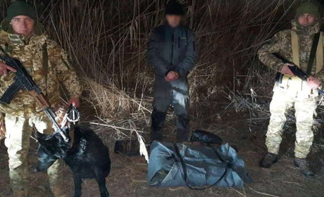На річці Дунай прикордонна вівчарка Фрея виявила незаконного туриста