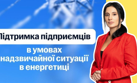 Ірина Борзова: про ФОП, податки й принципову позицію щодо підтримки бізнесу