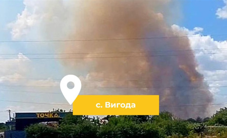 У селі Вигода у полум’ї пожежі загинув собака, згоріли два авто. Жителі вимагають покарати винних