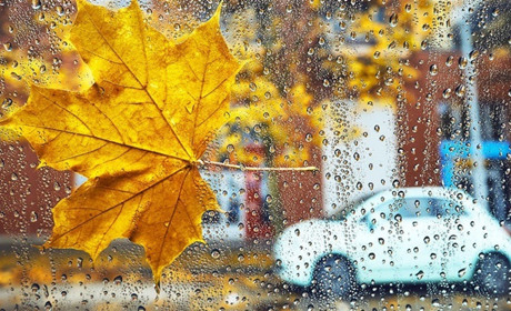 Яку погоду на вихідних прогнозують синоптики Сумщини та України