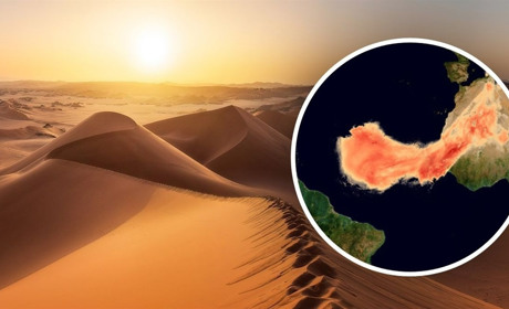 До 24 тепла і піщана буря з Сахари: що чекає українців на початку тижня