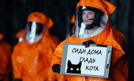 Гречка, туалетний папір, дистанційна робота: ми зібрали яскраві меми про карантин