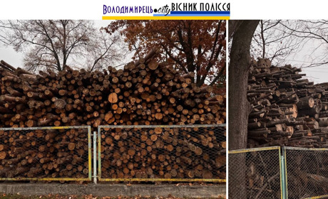 «Кримінальні дрова»: яка доля очікує на скандальний законопроєкт?