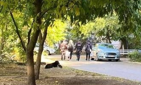 Як уникнути участі у «референдумі» та куди звертатись за фактами тиску