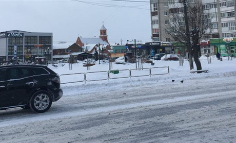 Деякі автобусні рейси на Звягельщині тимчасово скасовували через снігопад 9 січня