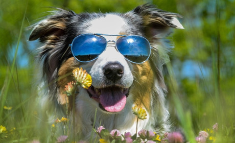 В Україну йде спека, а на вівторок прогнозують дощі