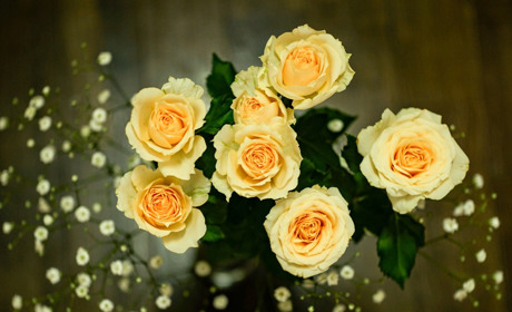 Чудові букети з доставкою в Добропіллі з троянд, хризантем та гербер