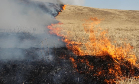 Пожежні Білопільщини приборкують загоряння сухої рослинності на території району