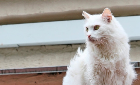 Погода на лівобережжі Херсонщини з 7 по 9 лютого: прогноз Українського гідрометеоцентру