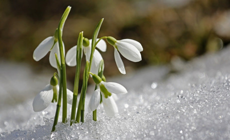 Якою буде погода на Сватівщині у перші дні березня 2021: прогноз з 1 по 7 березня