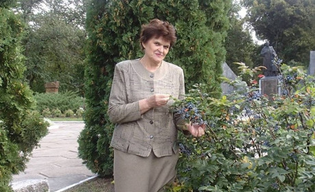 Національний мультипредметний тест: коли випускники з Гадяччини зможуть зареєструватися та пройти