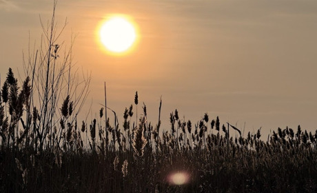 Весняне рівнодення 2026: коли настає та чому печуть жайворонків