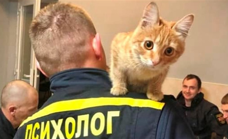 ДСНС Херсонщини — справжні котики: 5 доказів від Кавун.City