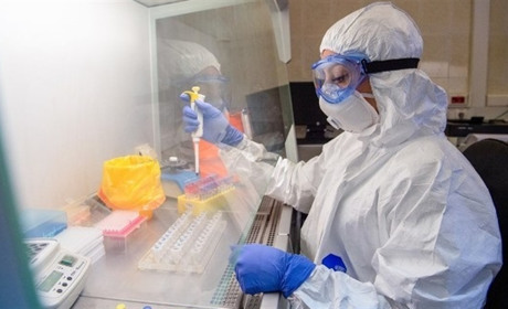 Шість смертей, 164 заражень