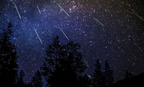 Видовищний зорепад - коли зможемо його побачити?