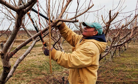 Посівний календар на листопад 2025 року: що і коли сіяти, щоб був великий урожай